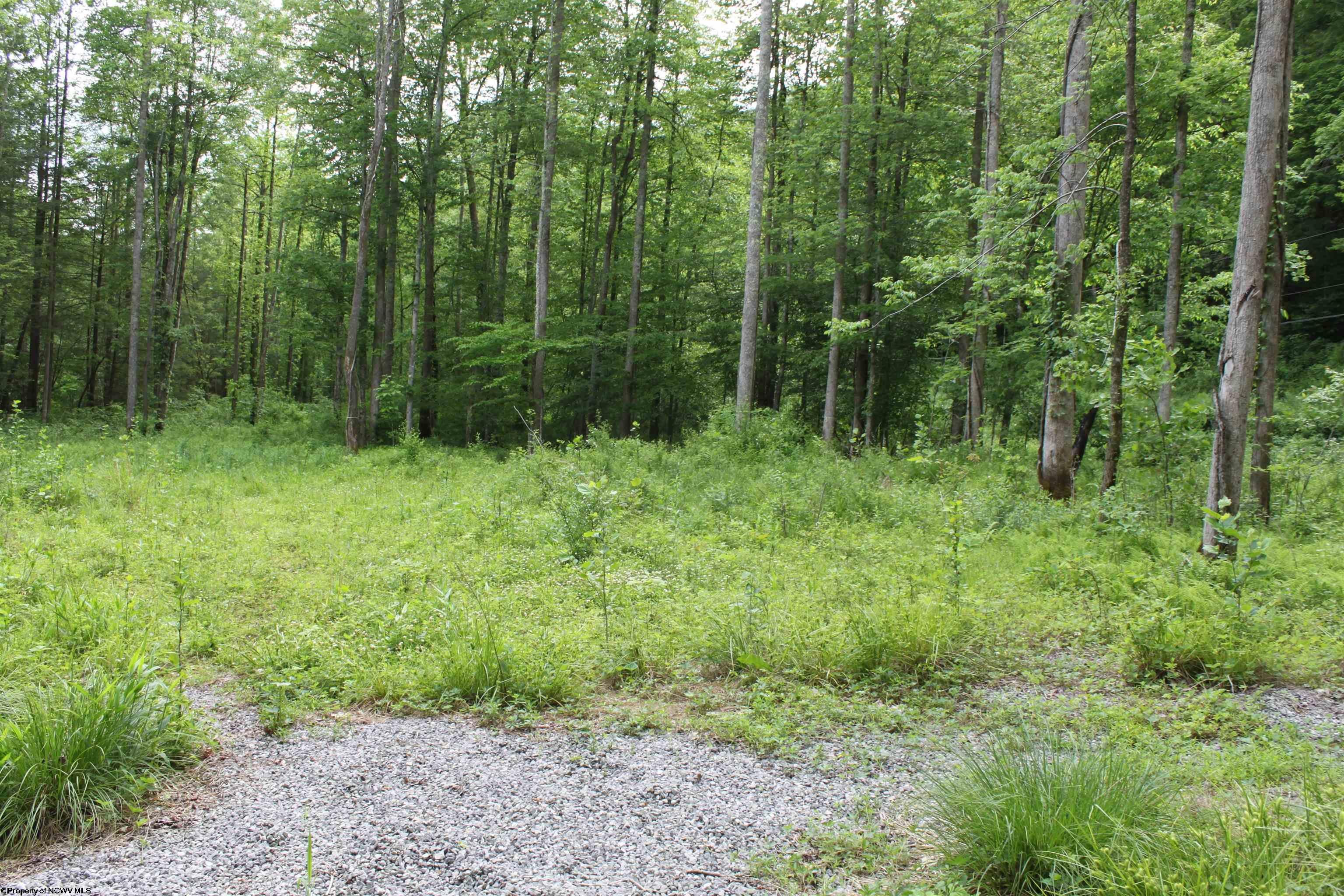 390 Big Sycamore Road Webster Springs, WV 26288 - Photo 7 of 17 Gallery Image 7