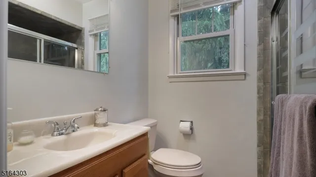 a bathroom with a sink vanity mirror and toilet