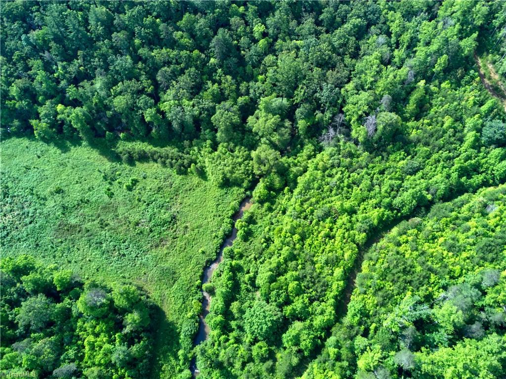 Bold Creek runs through the property. Also see driveway coming into property on the right. By the creek was where seller had cleared the land to build