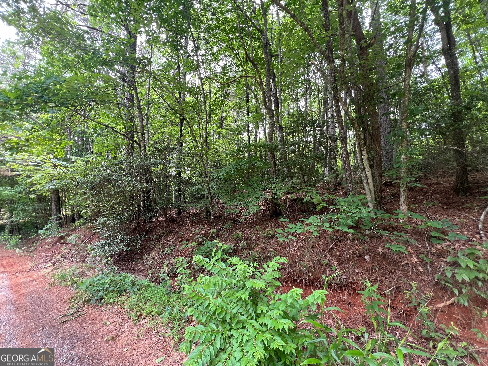 0 Mr Bert Road Hiawassee, GA 30546 - Photo 20 of 22