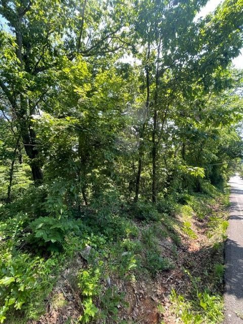 0 Cabin Road Chattanooga, TN 37404 - Photo 5 of 5 a view of a yard with plants and large trees