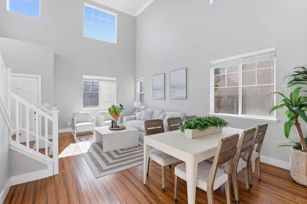 a living room with furniture and a potted plant