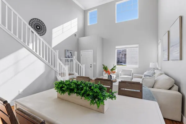 a living room with furniture and a potted plant