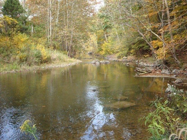 375 Big Red Road Ronceverte, WV 24970 - Photo 11 of 32 Second Creek
