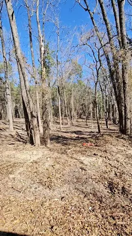a view of a yard with snow on the road