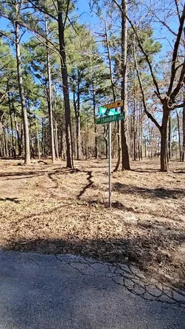 $1,500,000 | 31 Morgan Avenue, Tyler, TX 75702