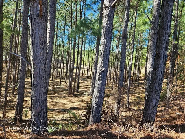 a view of road with trees