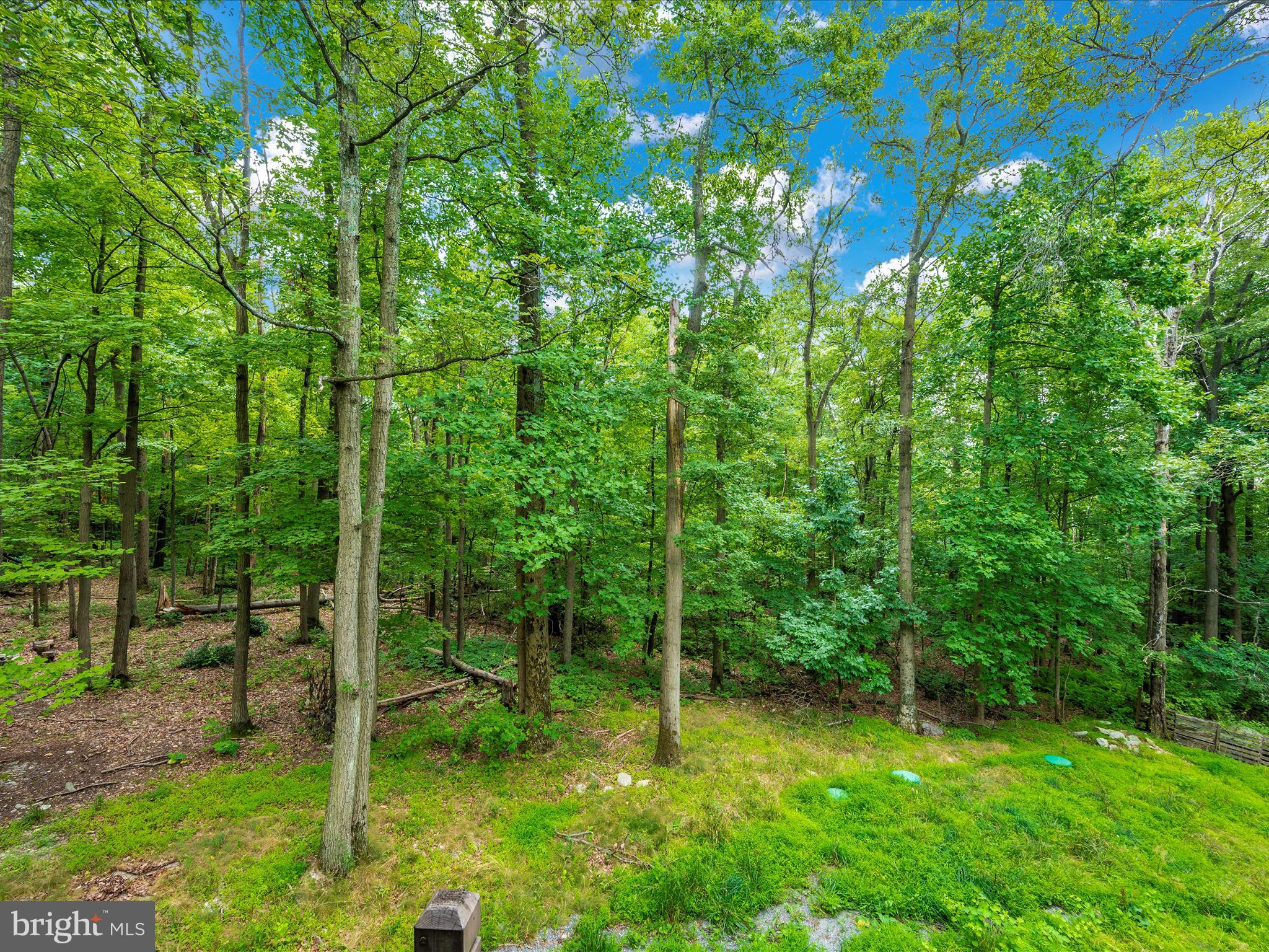 10218 Gambrill Park Road Frederick, MD 21702 - Photo 26 of 29 Balcony