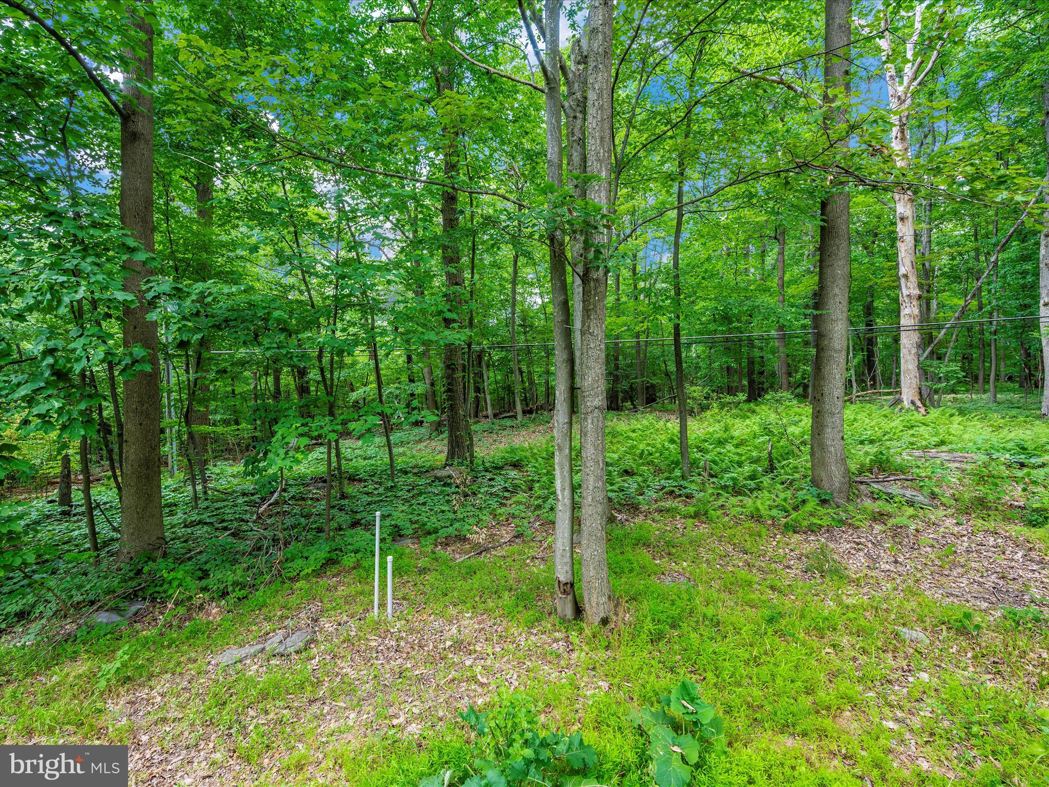10218 Gambrill Park Road Frederick, MD 21702 - Photo 28 of 29 Deck View