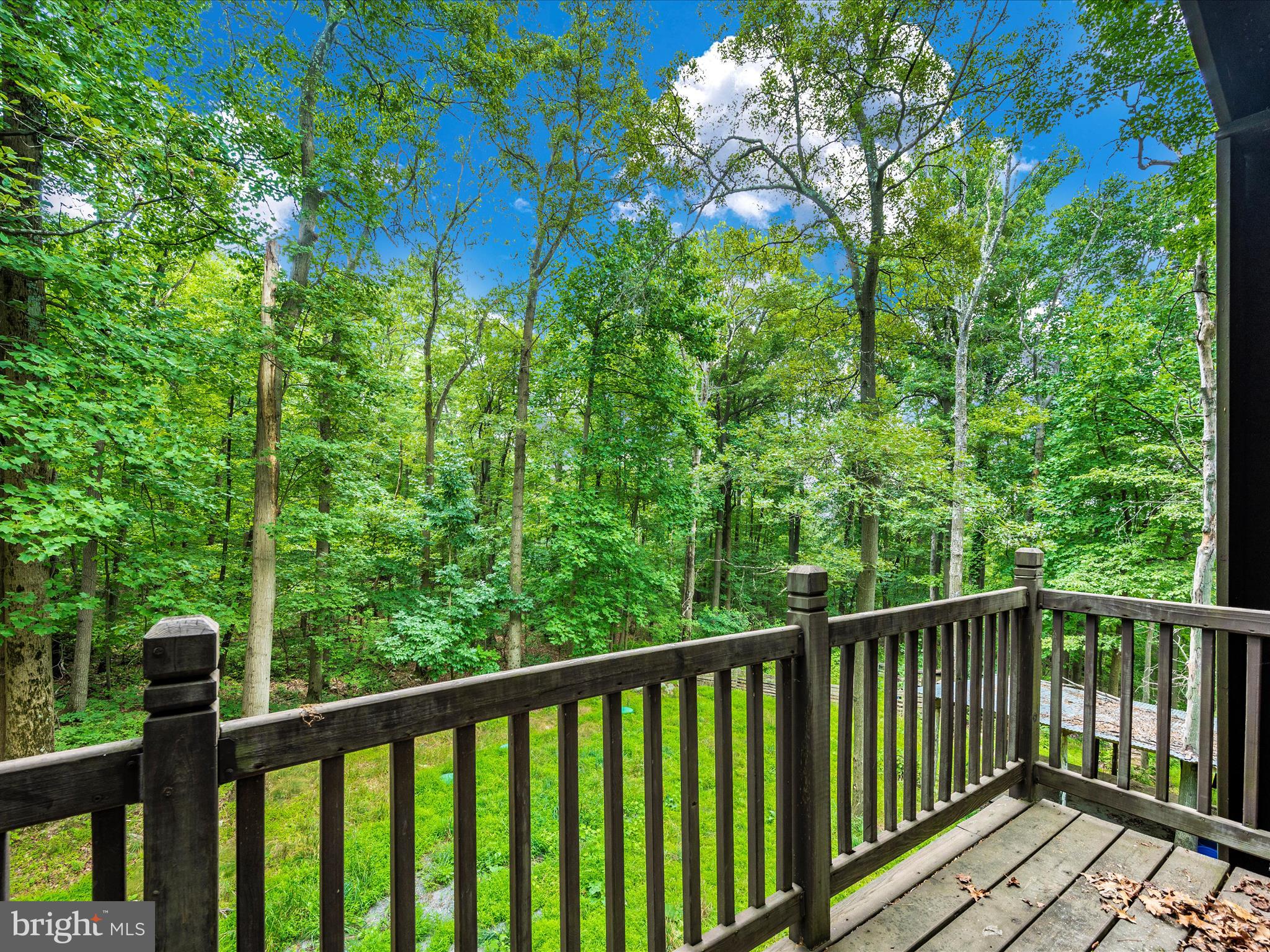 10218 Gambrill Park Road Frederick, MD 21702 - Photo 3 of 29 Balcony