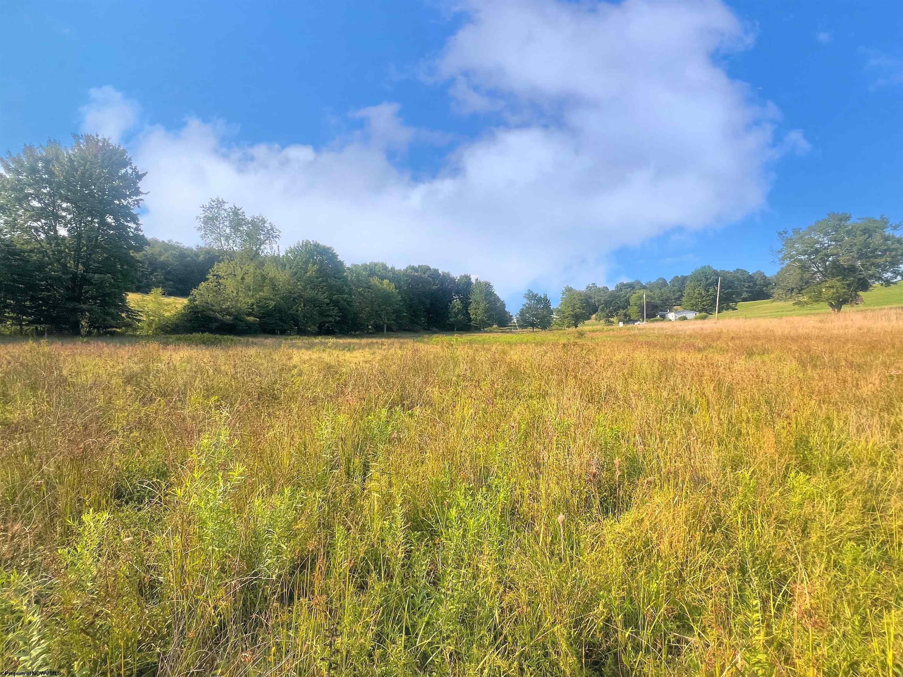 Tbd Burner Road Philippi, WV 26416 - Photo 7 of 15 Gallery Image 7