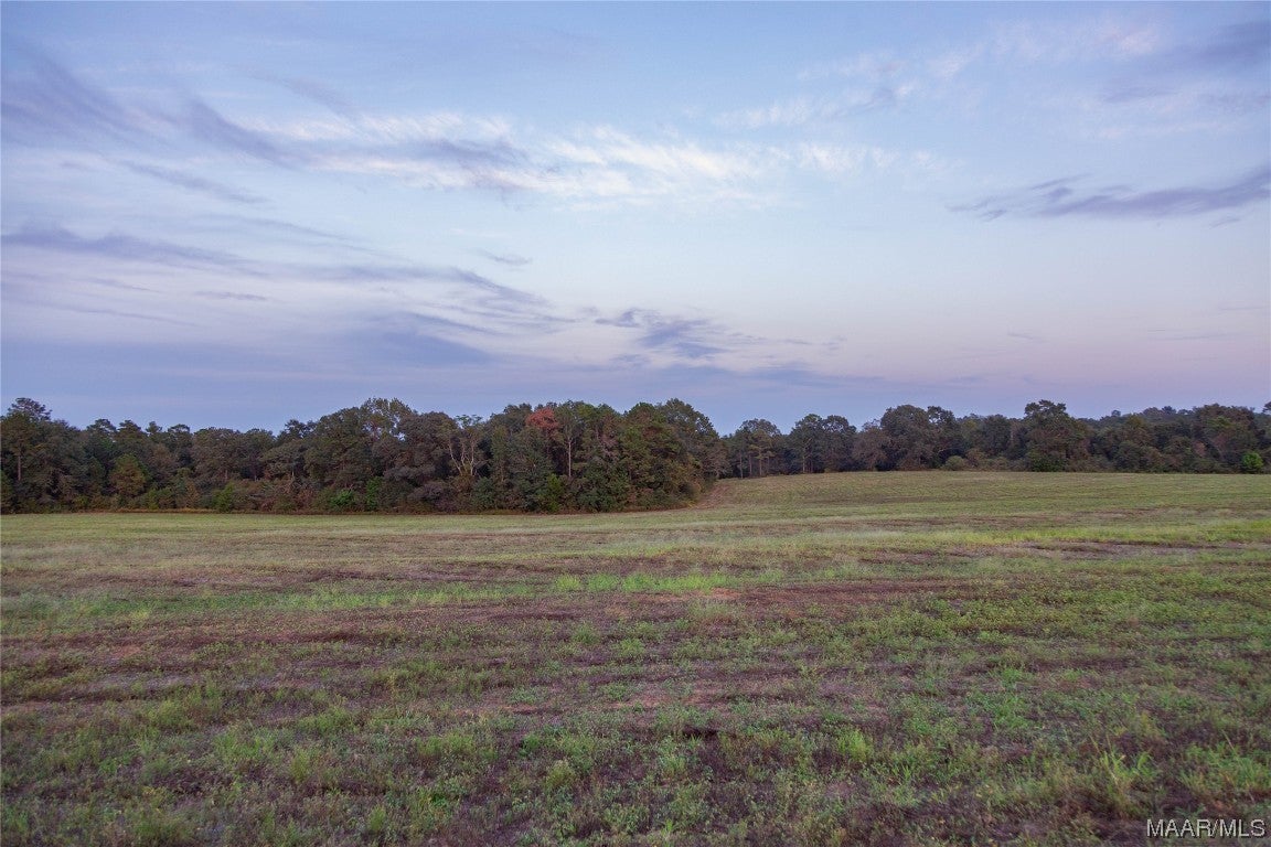 337 County Road 337 Brantley, AL 36009 - Photo 10 of 36 Gallery Image 10