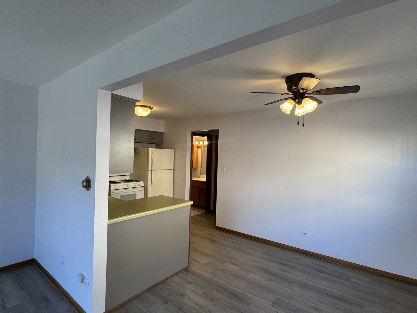 4512 Grove Avenue, Unit 1N Brookfield, IL 60513 - Photo 5 of 10 a view of an empty room with window and wooden floor