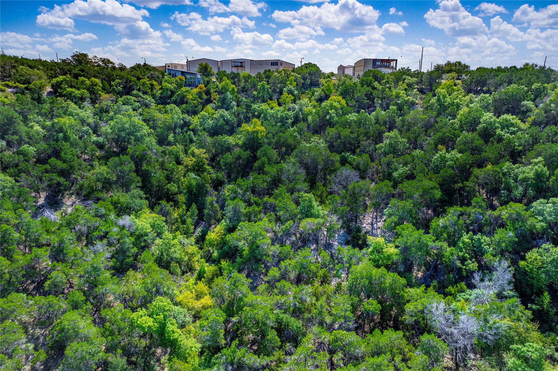 9000 Bar K Ranch Road Lago Vista, TX 78645 - Photo 14 of 17 Gallery Image 14