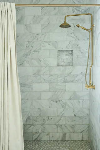 a front view of a house with plants