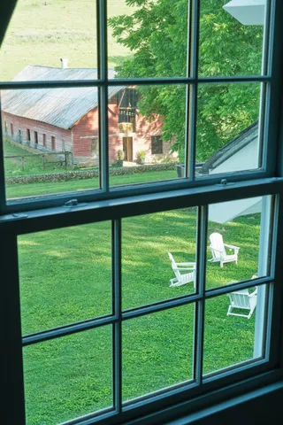 a view of a yard in front of a house with plants and large tree