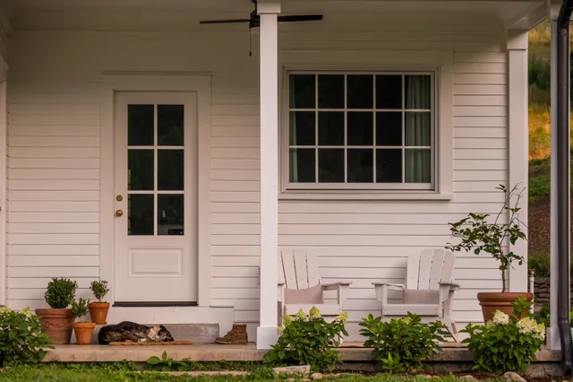 a view of a yard with plants and trees