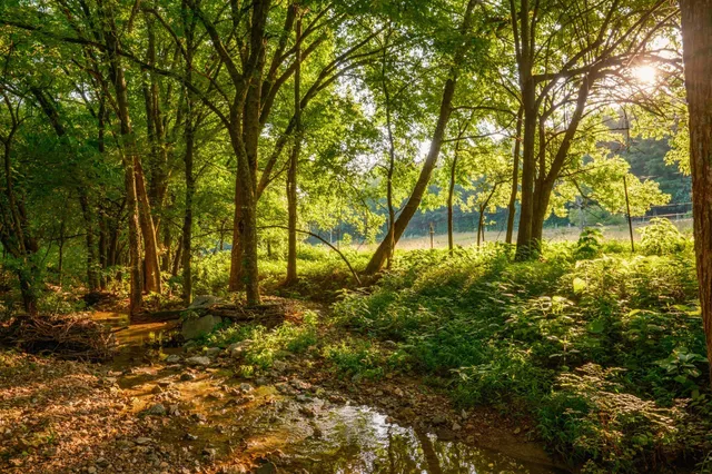 a view of a lake in middle of the town
