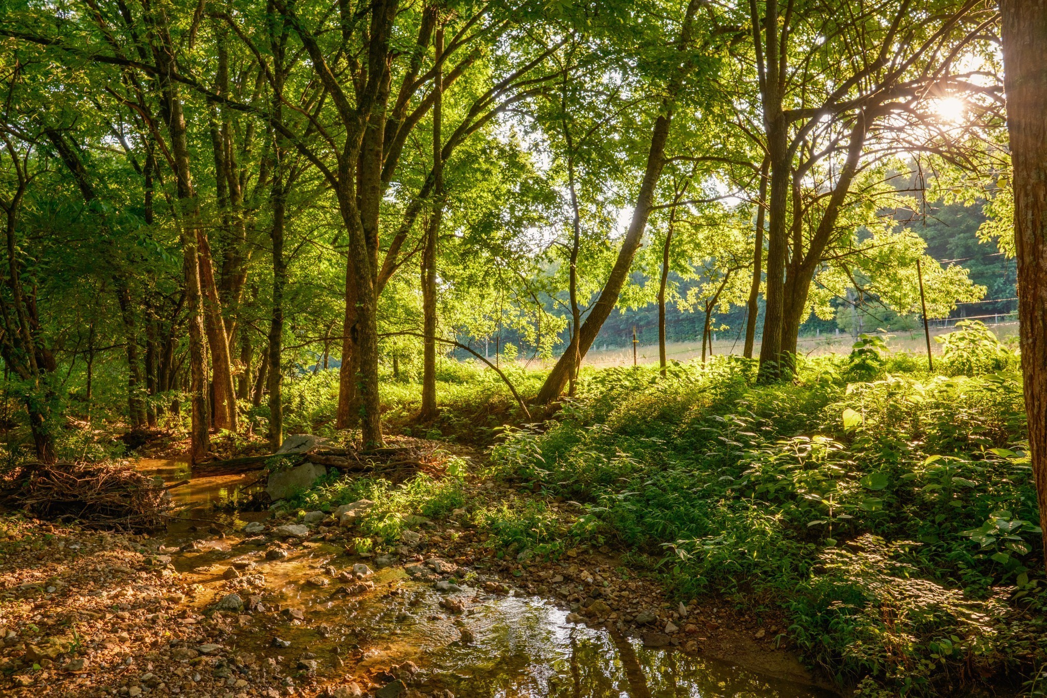 2405 Thompson Road Lewisburg, TN 37091 - Photo 48 of 71