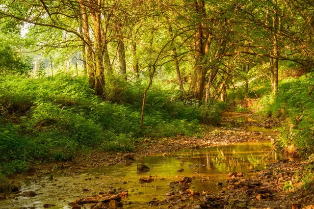 $2,585,000 | 2405 Thompson Road, Lewisburg, TN 37091