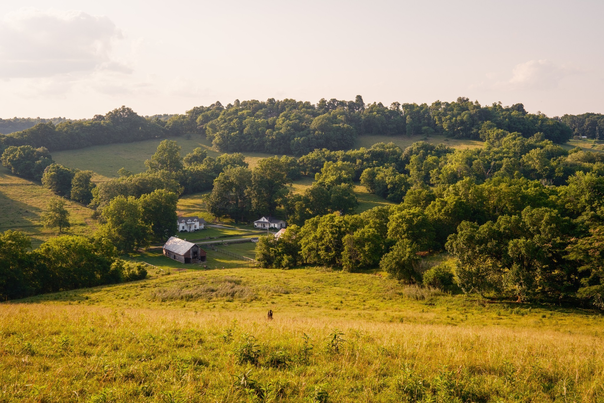 2405 Thompson Road Lewisburg, TN 37091 - Photo 54 of 71 a view of a lake with a mountain