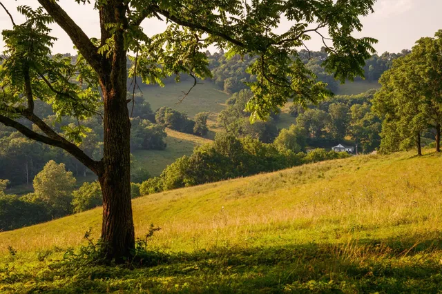 $2,585,000 | 2405 Thompson Road, Lewisburg, TN 37091