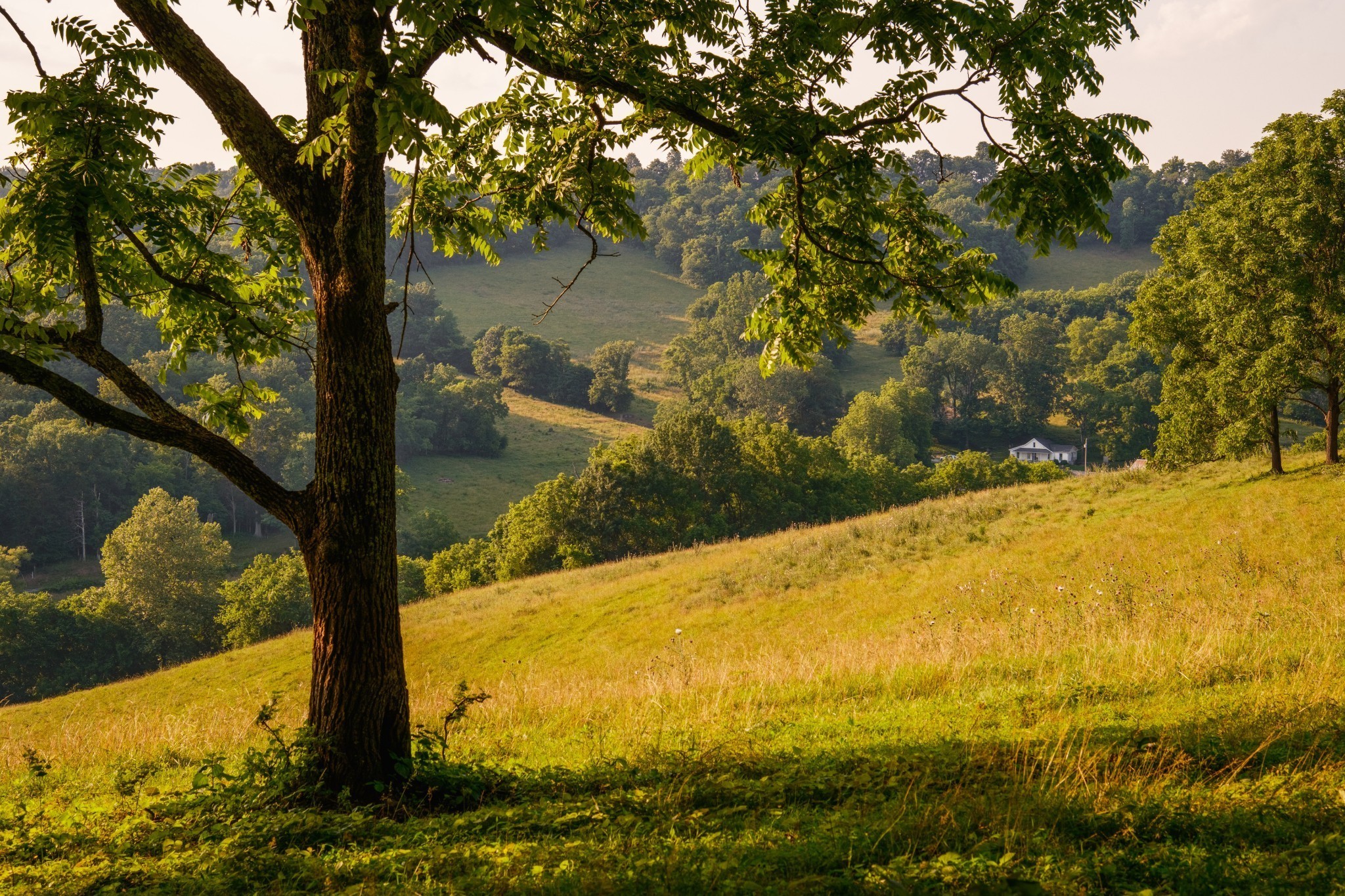 2405 Thompson Road Lewisburg, TN 37091 - Photo 55 of 71