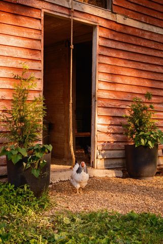 $2,795,000 | 2405 Thompson Road, Lewisburg, TN 37091