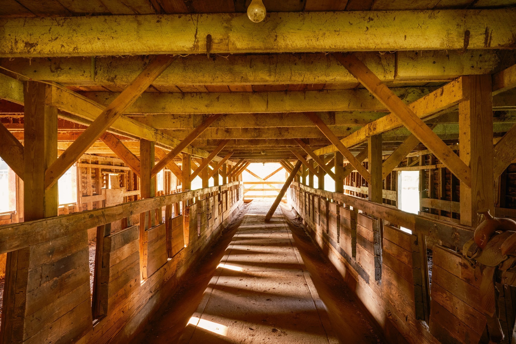 2405 Thompson Road Lewisburg, TN 37091 - Photo 59 of 71