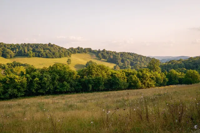 $2,585,000 | 2405 Thompson Road, Lewisburg, TN 37091