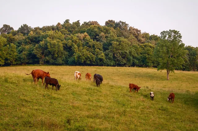 $2,585,000 | 2405 Thompson Road, Lewisburg, TN 37091