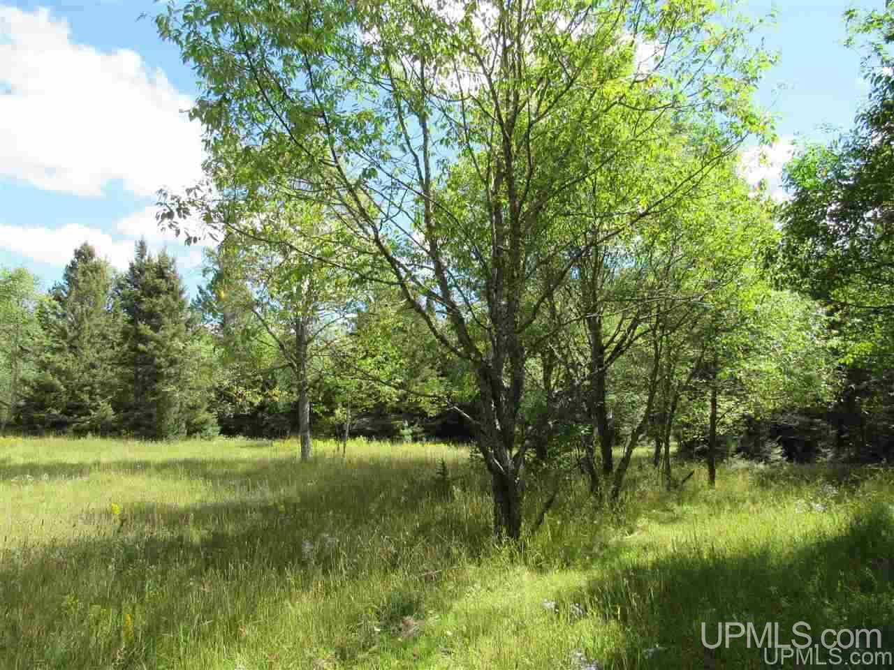 Tbd Tbd Off Stagecoach Road Michigamme, MI 49861 - Photo 25 of 37