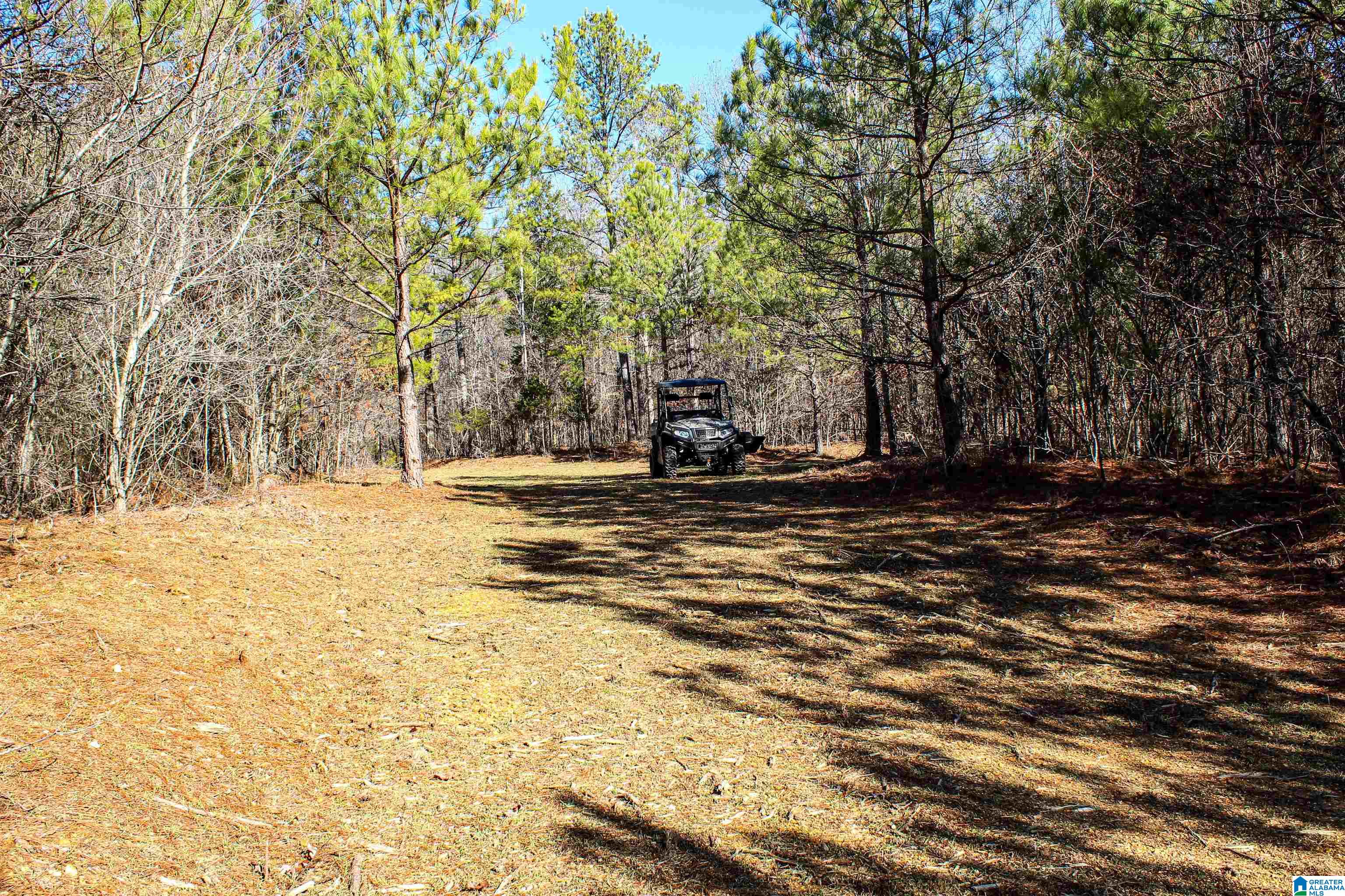 29 Highway Hamilton Al, Unit 1 Hamilton, AL 35570 - Photo 13 of 55