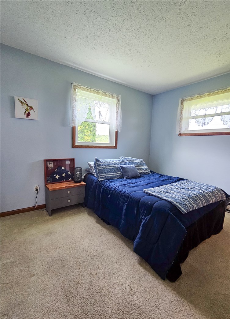9199 Big Tree Road Richmond, NY 14466 - Photo 13 of 26 Gallery Image 13