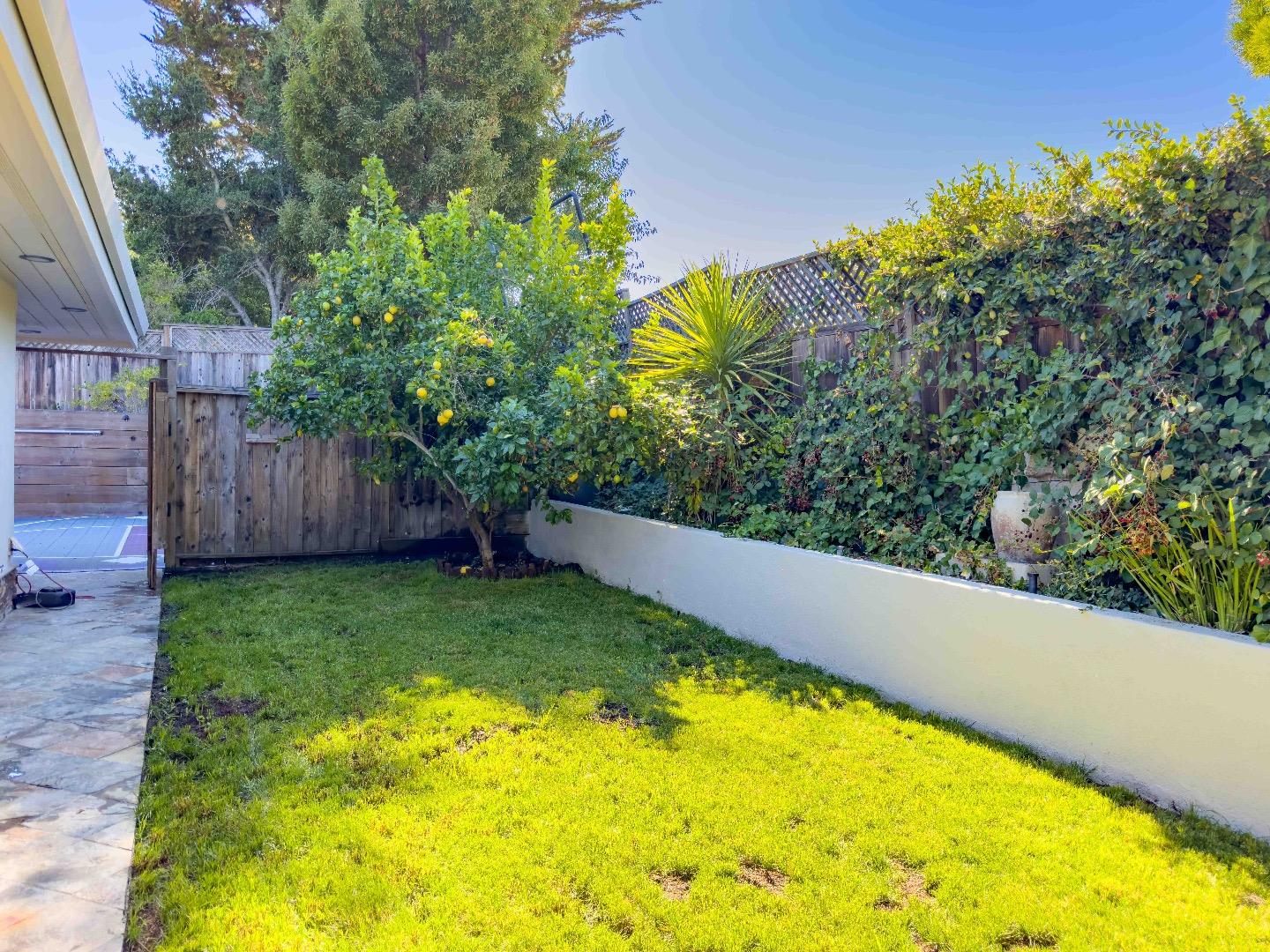 250 Darrell Road Hillsborough, CA 94010 - Photo 65 of 85