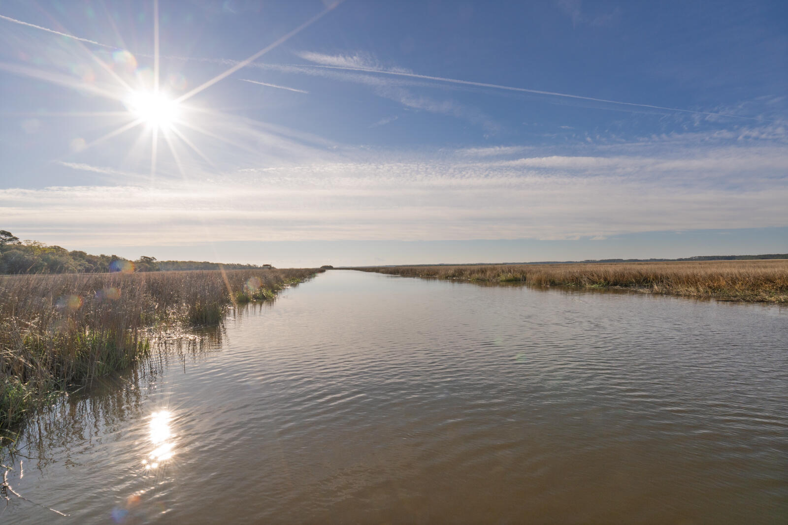 7717 White Point Road Hollywood, SC 29449 - Photo 12 of 99 untitled-19