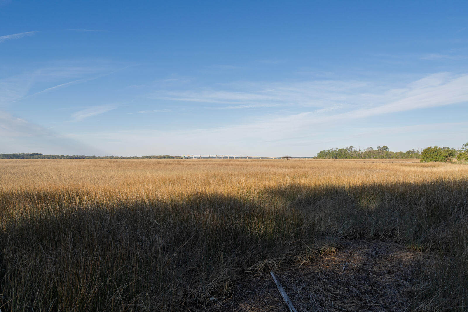 7717 White Point Road Hollywood, SC 29449 - Photo 32 of 99 untitled-8