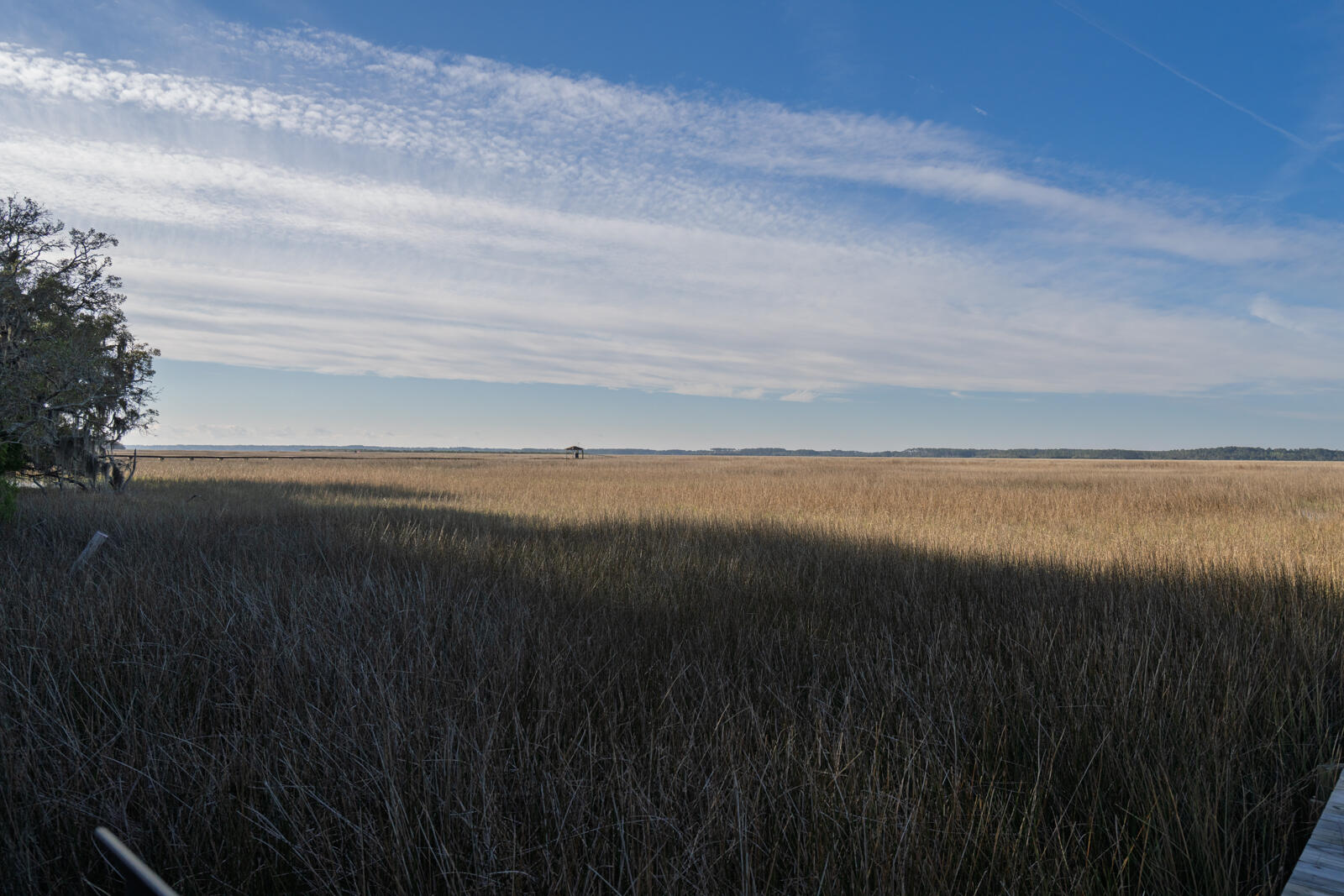 7717 White Point Road Hollywood, SC 29449 - Photo 33 of 99 untitled-9