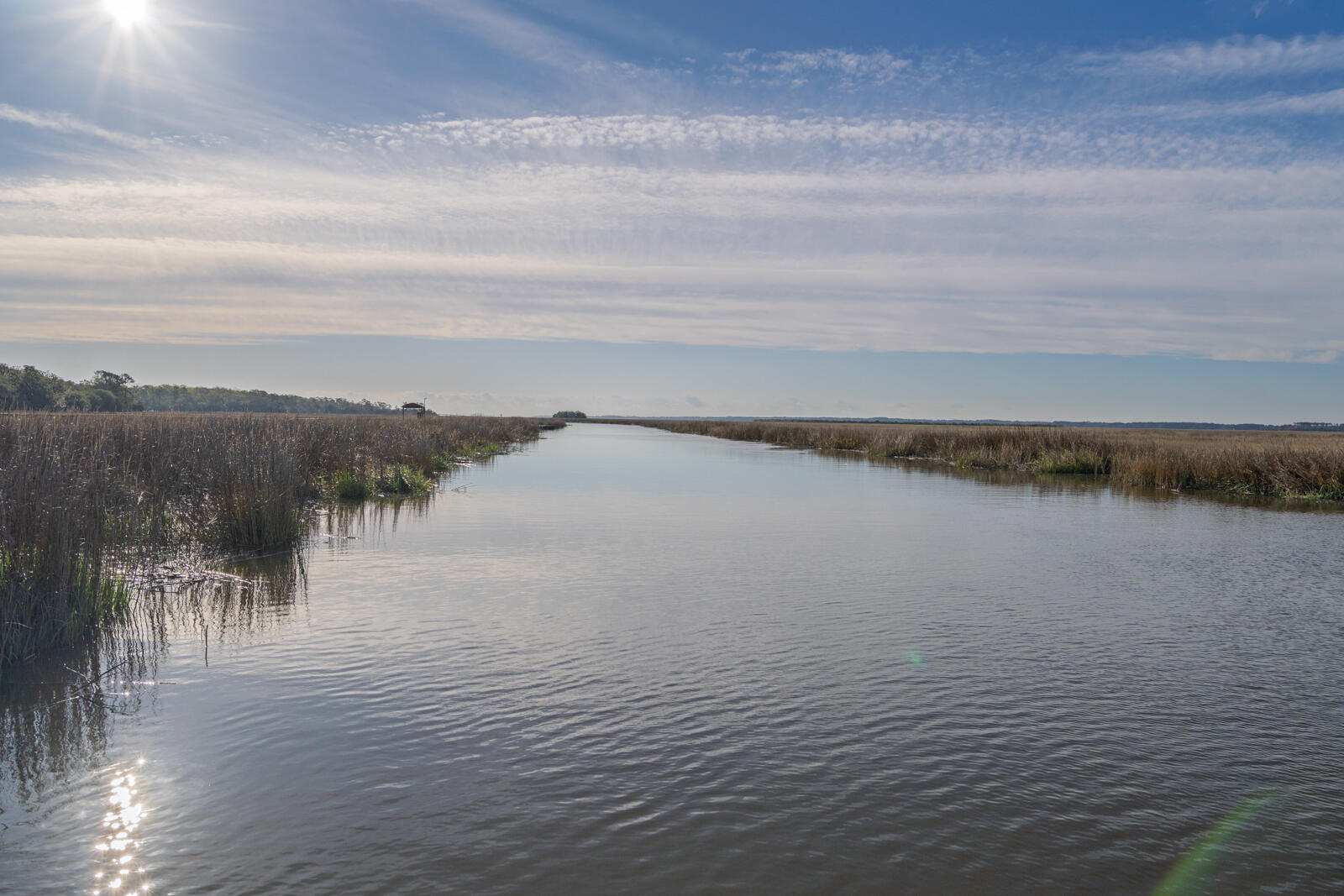 7717 White Point Road Hollywood, SC 29449 - Photo 34 of 99 untitled-11