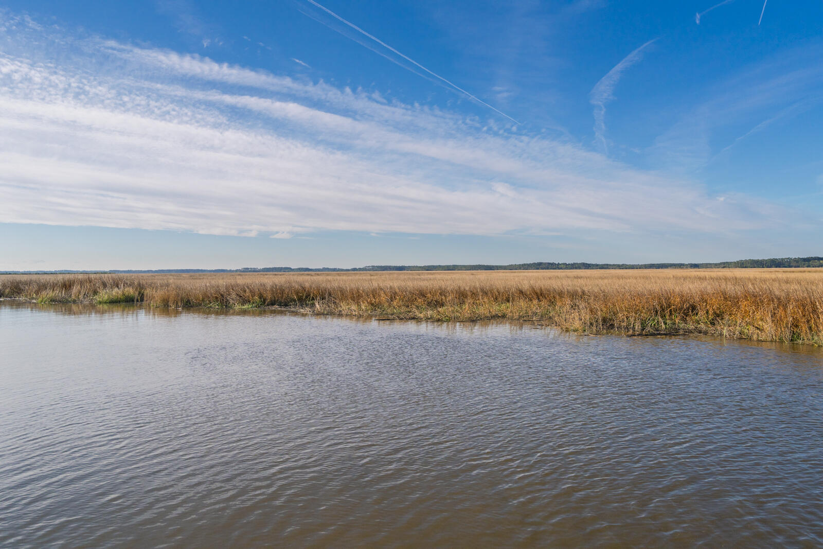 7717 White Point Road Hollywood, SC 29449 - Photo 35 of 99 untitled-12