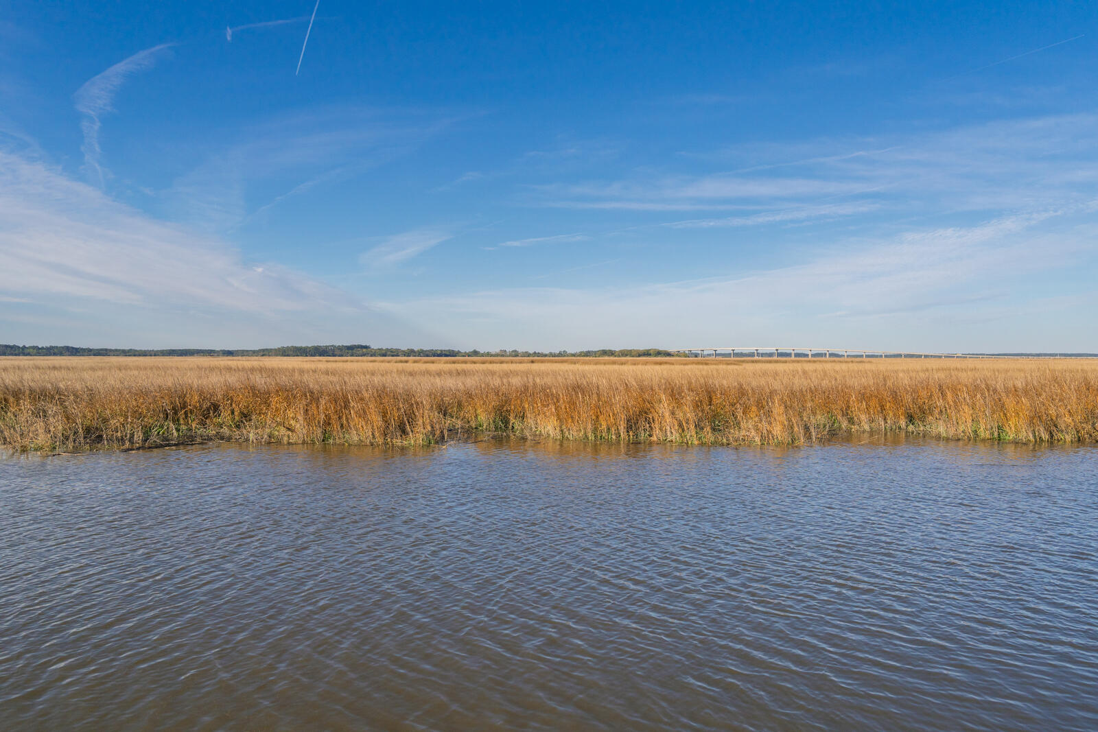 7717 White Point Road Hollywood, SC 29449 - Photo 36 of 99 untitled-13