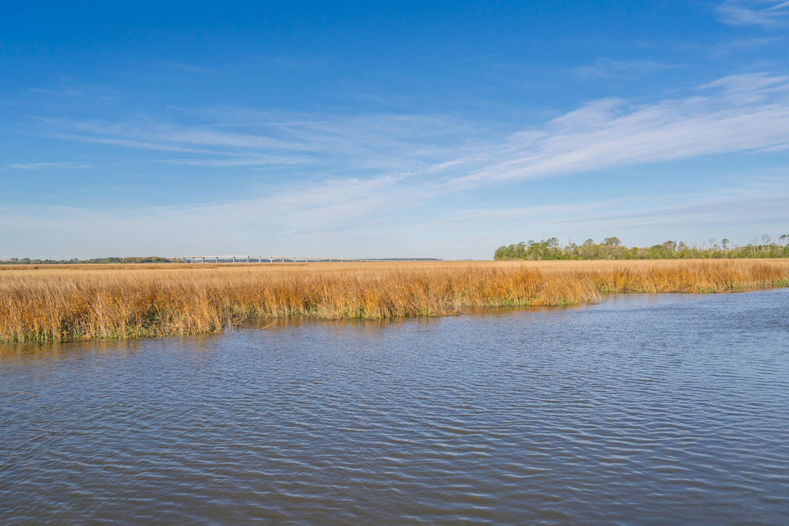 7717 White Point Road Hollywood, SC 29449 - Photo 38 of 99 untitled-15