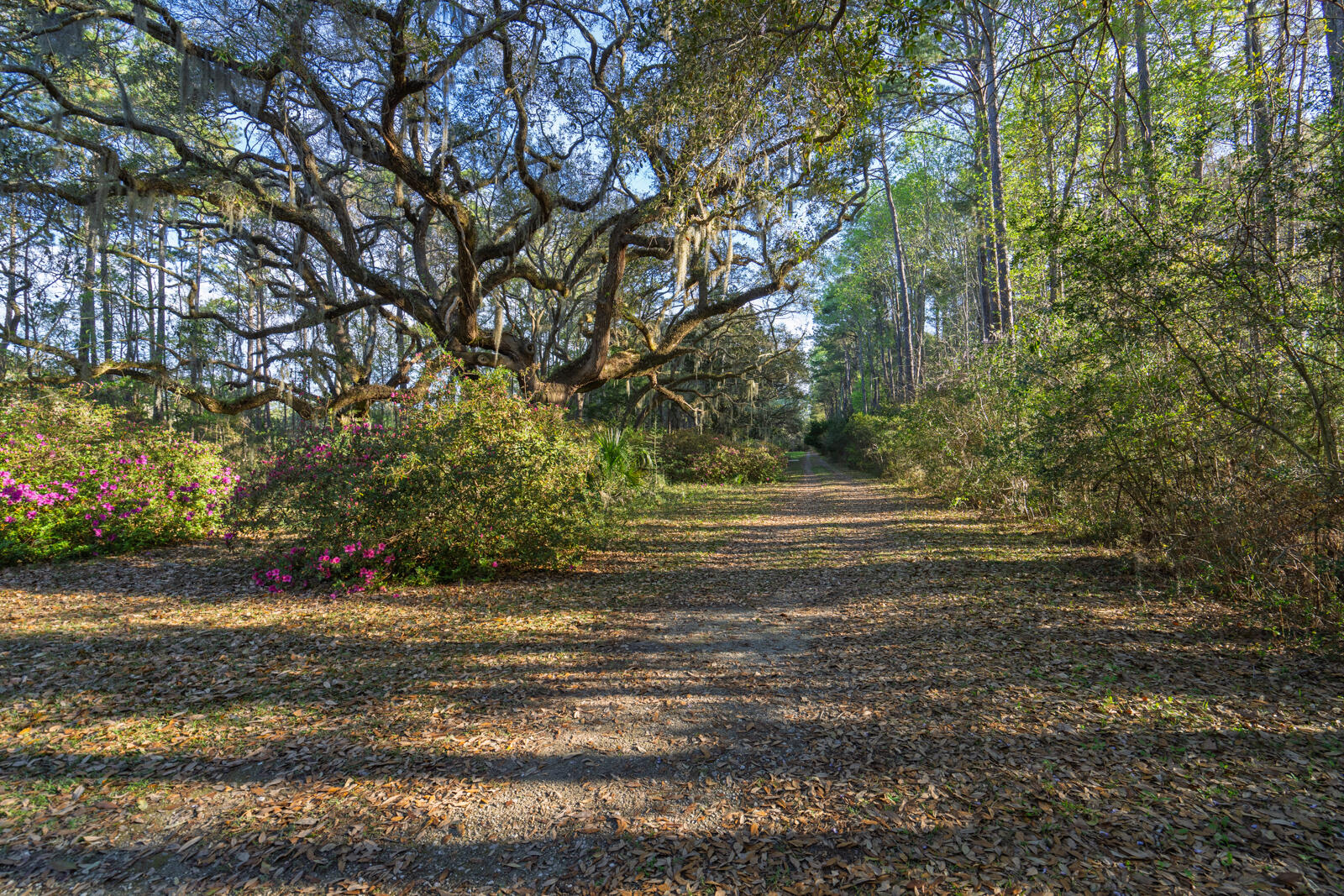 7717 White Point Road Hollywood, SC 29449 - Photo 72 of 99 untitled-1