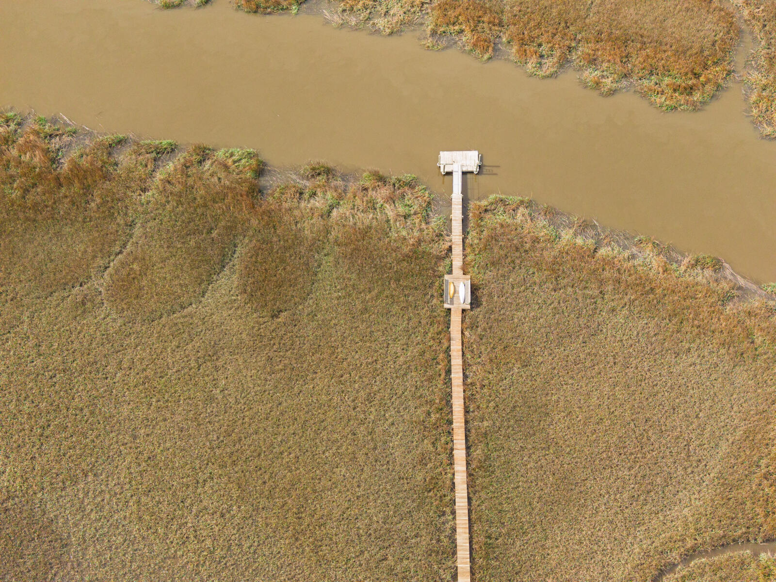 7717 White Point Road Hollywood, SC 29449 - Photo 78 of 99 untitled-4