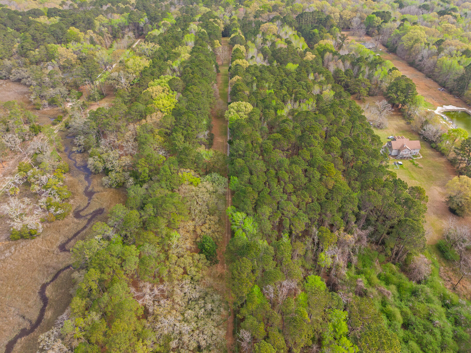 7717 White Point Road Hollywood, SC 29449 - Photo 84 of 99 untitled-11