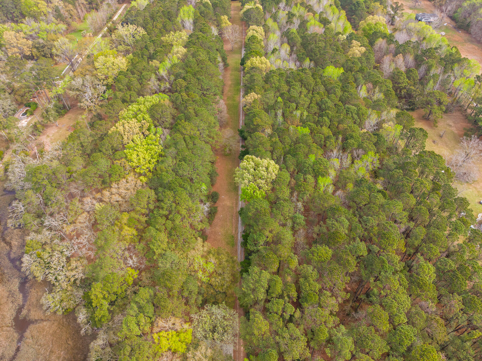 7717 White Point Road Hollywood, SC 29449 - Photo 86 of 99 untitled-13