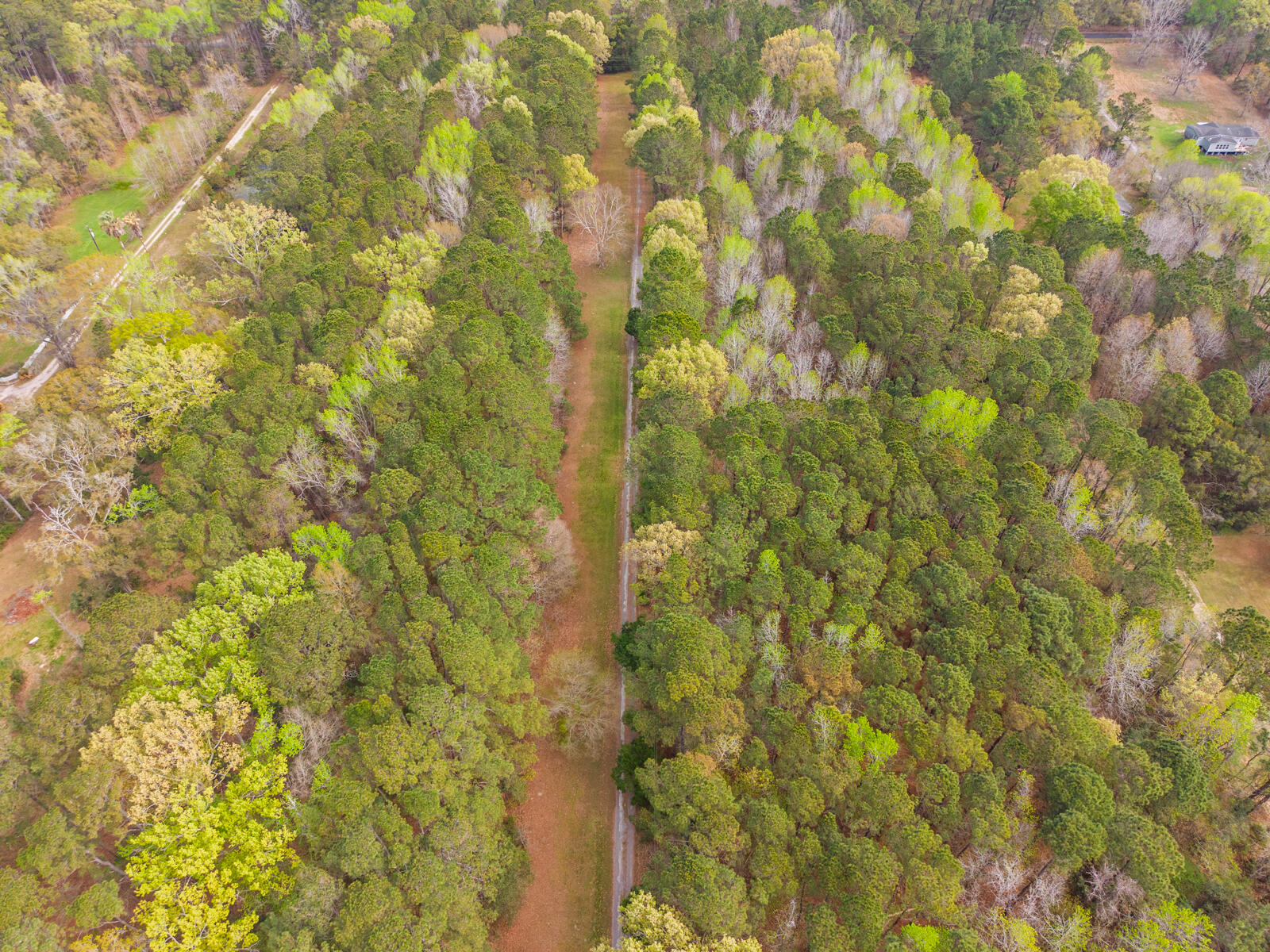 7717 White Point Road Hollywood, SC 29449 - Photo 87 of 99 untitled-14