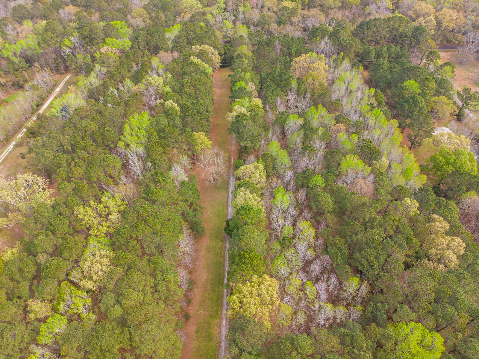 7717 White Point Road Hollywood, SC 29449 - Photo 88 of 99 untitled-15