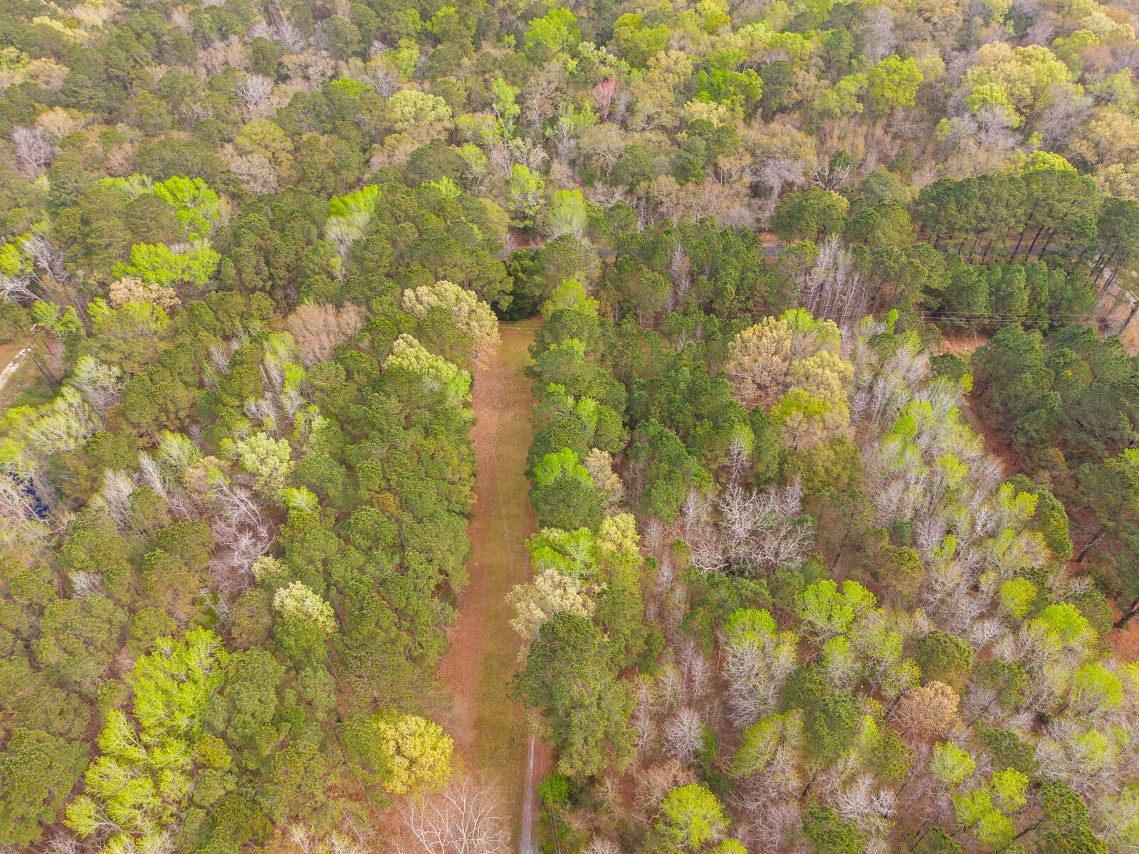 7717 White Point Road Hollywood, SC 29449 - Photo 89 of 99 untitled-16