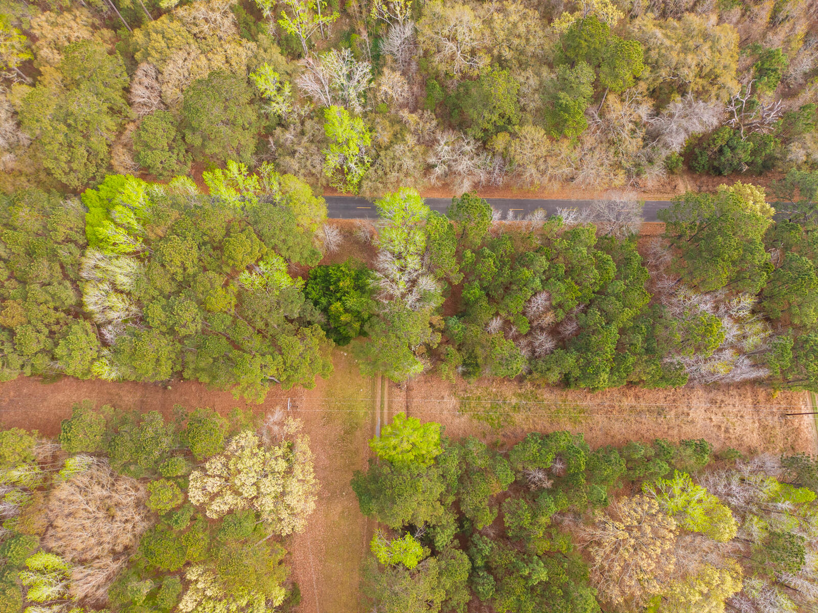 7717 White Point Road Hollywood, SC 29449 - Photo 90 of 99 untitled-17